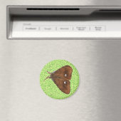 Vapourer Moth Magnet (In Situ (Geschirrspüler))