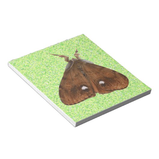 Vapourer Moth Notepad Notizblock (angewinkelt)