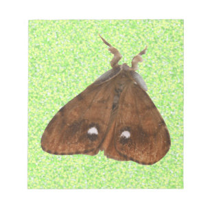 Vapourer Moth Notepad Notizblock