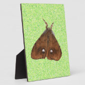 Vapourer Moth Plaque Fotoplatte (Seite)