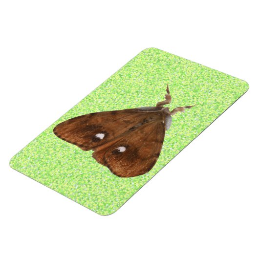Vapourer Moth Premium Magnet (Linke Seite)