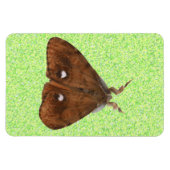 Vapourer Moth Premium Magnet (Horizontal)
