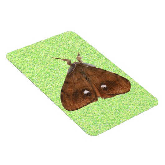 Vapourer Moth Premium Magnet (Rechte Seite)