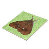 Vapourer Moth Tile Fliese (Seite)
