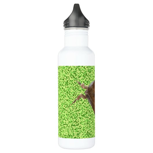 Vapourer Moth Trinkflasche (Links)