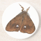 Vapourer Moth Untersetzer (Vorne)