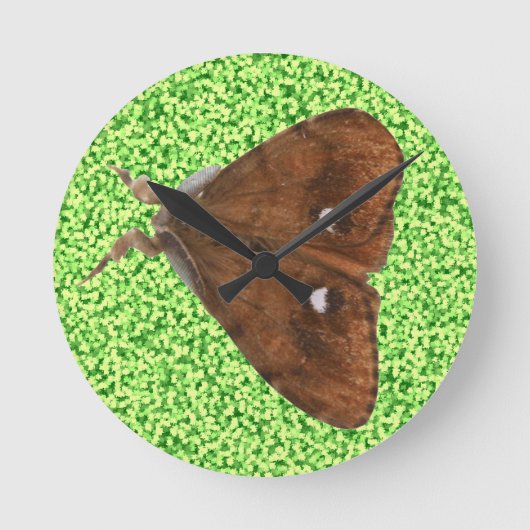 Vapourer Moth Wall Clock Runde Wanduhr (Vorderseite)