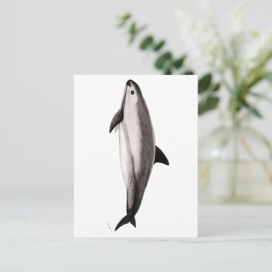 Vaquita Postkarte (Stehend Vorderseite)