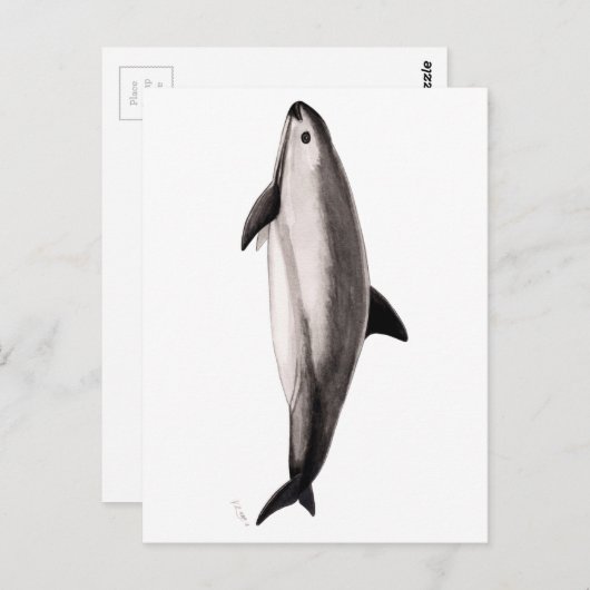 Vaquita Postkarte (Vorne/Hinten)