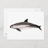 Vaquita Postkarte (Vorne/Hinten)