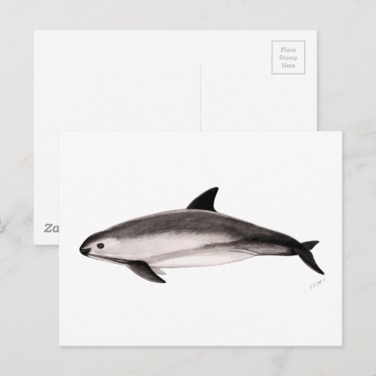 Vaquita Postkarte (Vorne/Hinten)