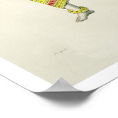 Varaha, graviert von de Marlet (Farbe litho) Poster (Ecke)