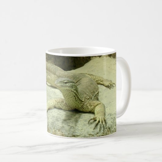 Varanus gouldii kaffeetasse (VorderseiteRechts)