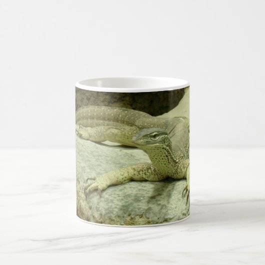 Varanus gouldii kaffeetasse (Mittel)