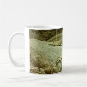 Varanus gouldii kaffeetasse (Links)