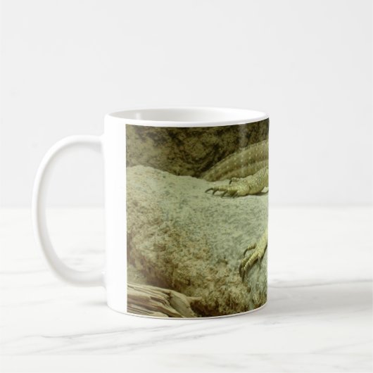 Varanus gouldii kaffeetasse (Links)