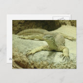 Varanus gouldii postkarte (Vorne/Hinten)