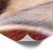 Vargas-71-Plakat Poster (Ecke)