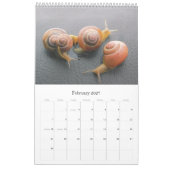 Varia 01 - Kalender 2011 (Feb 2027)