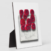 Variationen des Rubins objet_4 Fotoplatte (Seite)