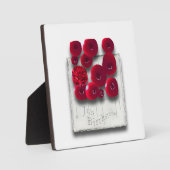 Variationen des Rubins objet_4 Fotoplatte (Vorderseite)