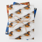 Varied & Hermit Thrushes & Ring-Billed Gull Birds Geschenkpapier Set (Beispiel)