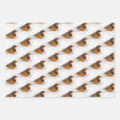 Varied & Hermit Thrushes & Ring-Billed Gull Birds Geschenkpapier Set (Vorderseite)