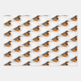 Varied & Hermit Thrushes & Ring-Billed Gull Birds Geschenkpapier Set