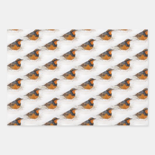 Varied & Hermit Thrushes & Ring-Billed Gull Birds Geschenkpapier Set (Vorderseite)