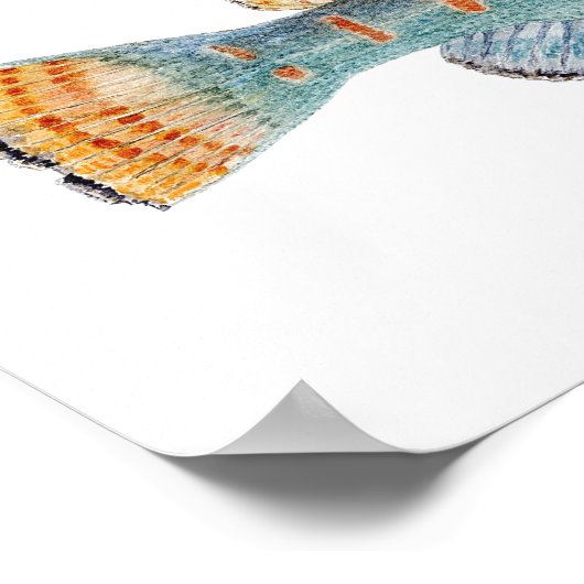 Variegate Darter Poster (Ecke)