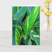 "Variegated Ginger" Karte (Gelbe Blume)