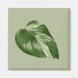 Variegated Monstera Albo Magnet
