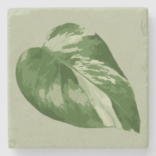 Variegated Monstera Leaf Coaster – Real Plant Art Steinuntersetzer (Vorderseite)
