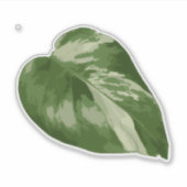 Variegated Monstera Sticker – Clear Cut Leaf (Vorderseite)
