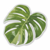 Variegated Monstera Sticker – Clear Cut Leaf (Vorderseite)