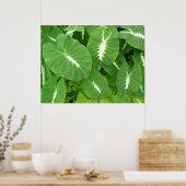Variegated Taro Poster (Küche)