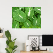 Variegated Taro Poster (Heimbüro)
