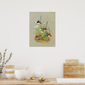 Variegated Wren - Malurus lamberti Poster (Küche)