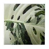 Variegierte Monstera Pflanze Botanisch Fliese (Vorderseite)