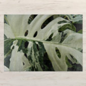 Variegierte Monstera Pflanze Botanisch Groß Schneidebrett