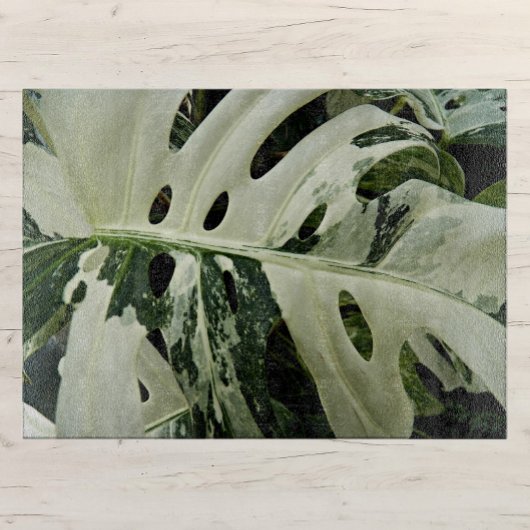 Variegierte Monstera Pflanze Botanisch Groß Schneidebrett