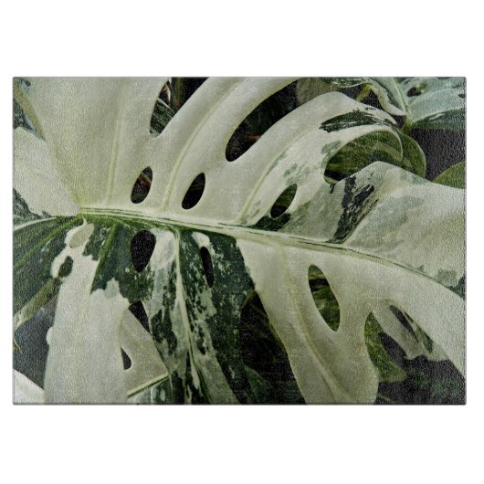 Variegierte Monstera Pflanze Botanisch Groß Schneidebrett (Vorderseite)