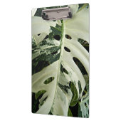 Variegierte Monstera Pflanze Botanisch Klemmbrett (Links)