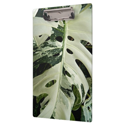 Variegierte Monstera Pflanze Botanisch Klemmbrett (Links)