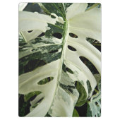 Variegierte Monstera Pflanze Botanisch Klemmbrett (Rückseite)