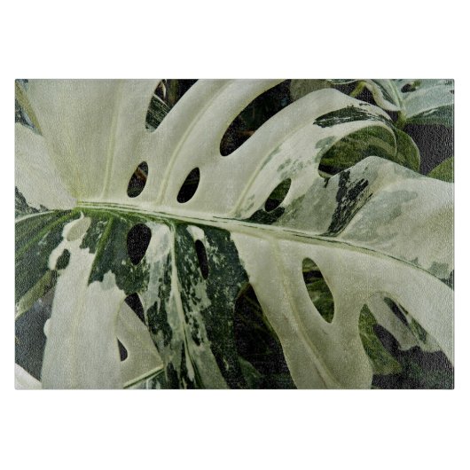 Variegierte Monstera Pflanze Botanisches Medium Schneidebrett (Vorderseite)