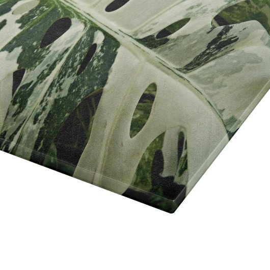 Variegierte Monstera Pflanze Botanisches Medium Schneidebrett (Ecke)