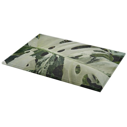 Variegierte Monstera Pflanze Botanisches Medium Schneidebrett (Ecke)