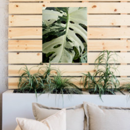 Variegierte Monstera Pflanze Floral Acryl Wandkunst
