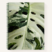 Variegierte Monstera Pflanze Floral Notizblock (Vorderseite)